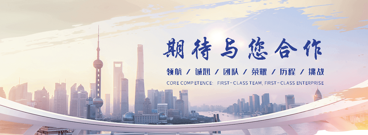 蚌埠海狮租赁公司